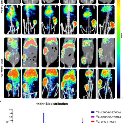 A Pet Ct Imaging In Vivo Of Zr Dfo Stm And Zr C Hopo Stm