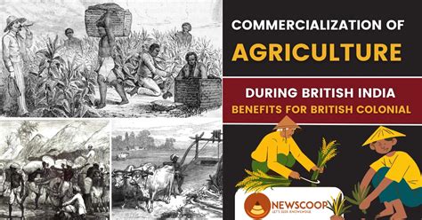 Commercialization Of Agriculture British India