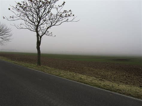 Jakobus Stra E Feld Baum Nebel Bernd Brang Flickr