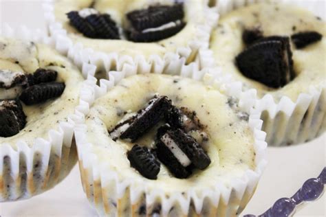 Oreo Cheesecake Cupcakes Splendry