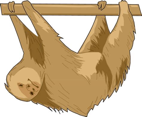 Slothing Clipart 20 Free Cliparts Download Images On Clipground 2024