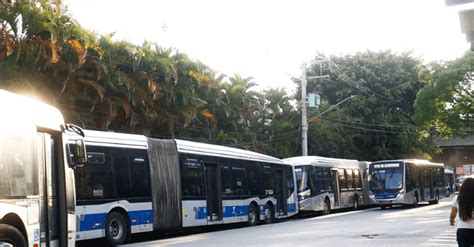 STF valida transporte público gratuito em dias de eleições Migalhas