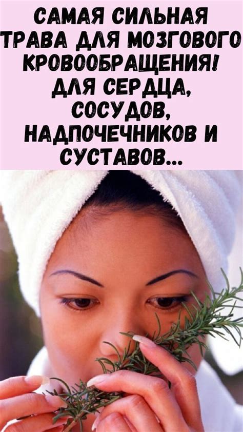 Самая сильная трава для мозгового кровообращения! Для сердца, сосудов ...