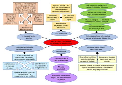 Mapa Enfoque Del Desarrollo Del Ciclo Vital Ejemplo La Pubertad Se