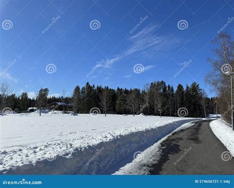 Winter Landscape of North Sweden Stock Image - Image of sweden, nature: 274656721