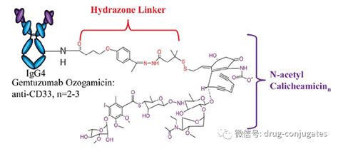 CD33 ADC药物Gemtuzumab Ozogamicin Mylotarg 全球专利布局分析 知乎