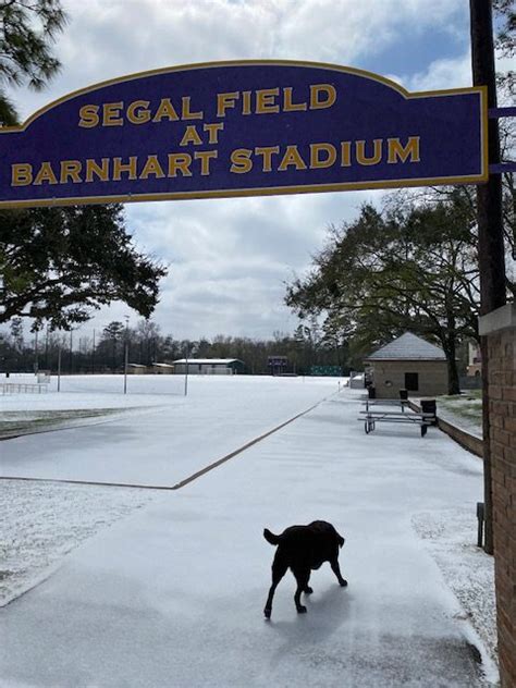 Winter Storm Uri Ravages Houston The Falcon