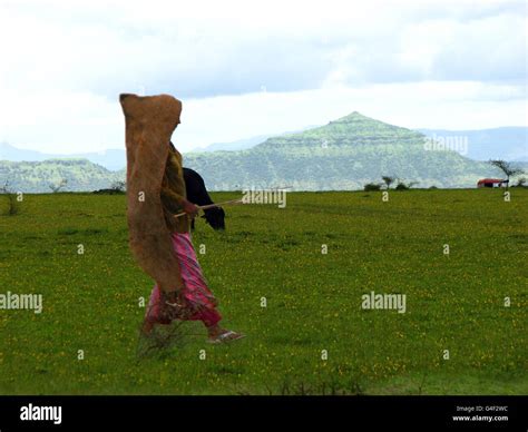 Indian Farmer Woman Stock Photo - Alamy