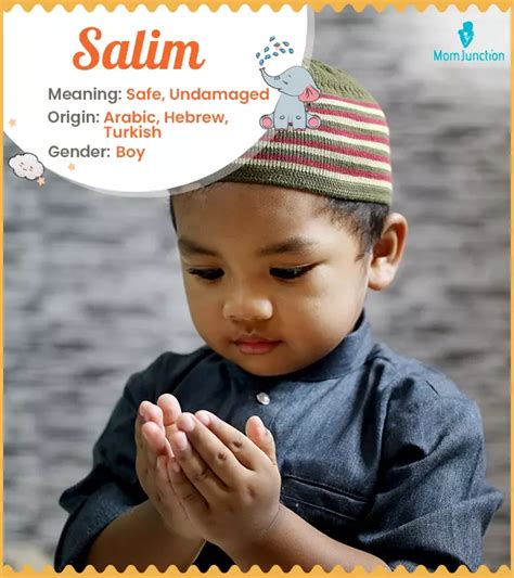 Salim Name Meaning Origin History And Popularity