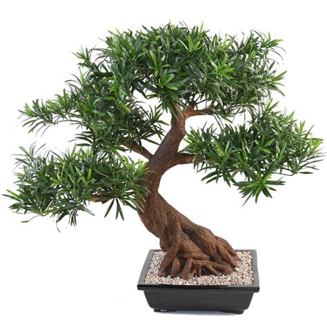 Bonsaï Podocarpus Artificiel Artificielles