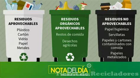 Consejos Para Separar Correctamente La Basura Tierra De Recicladores