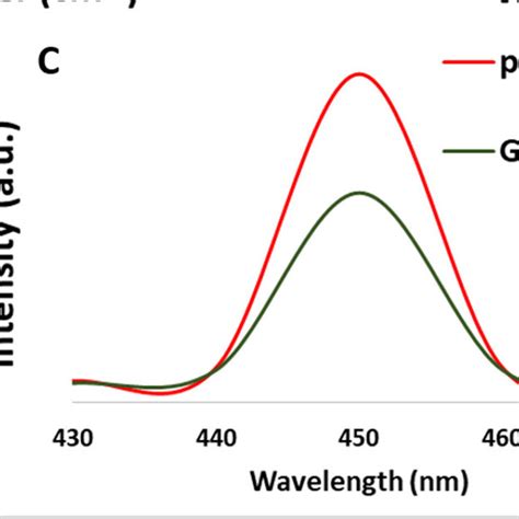 Uv Vis Absorbance Spectra Showing A Doxorubicin Loading On