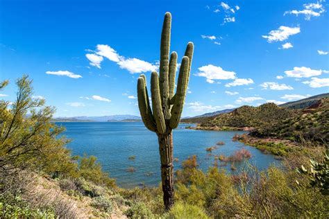 8 Best Crappie Fishing Lakes In Arizona Best Fishing In America