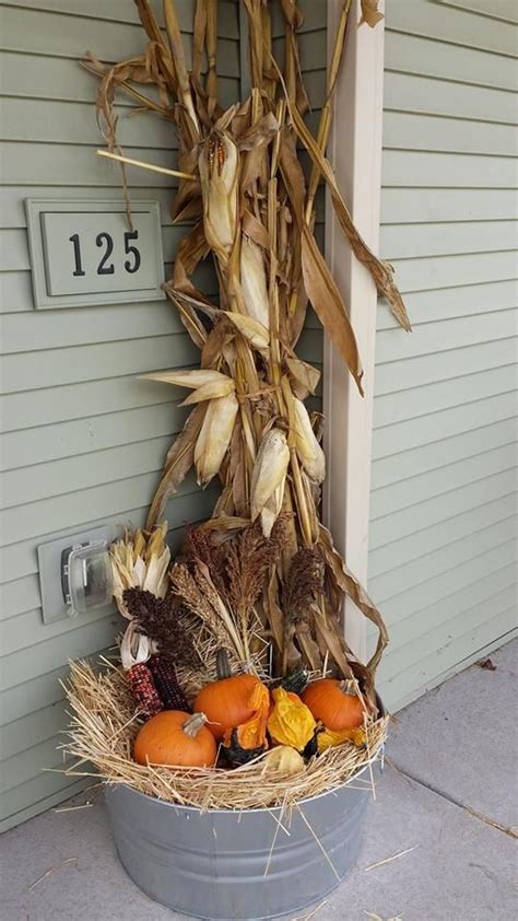 Fall Corn Stalks On Poles