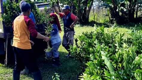 Agrowisata Pertanian Berkembang Di Jawa Barat Permintaan Bibit Tanaman