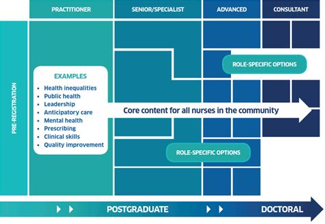 Transforming Nursing Midwifery And Health Professions Roles Education And Career Development