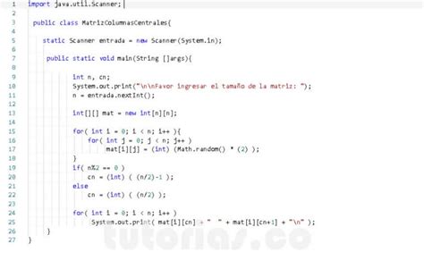 Ciclo For Java Matriz Columnas Centrales Tutorias Co