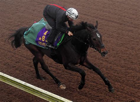 【阪神c】グランアレグリア スピード健在 藤沢和師が状態に太鼓判 競馬ニュース Netkeiba