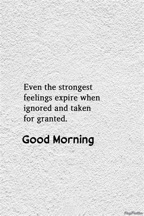 115 Best Good Morning Quotes For Wise Sayings And Wisdom Quotes Images Tiny Positive