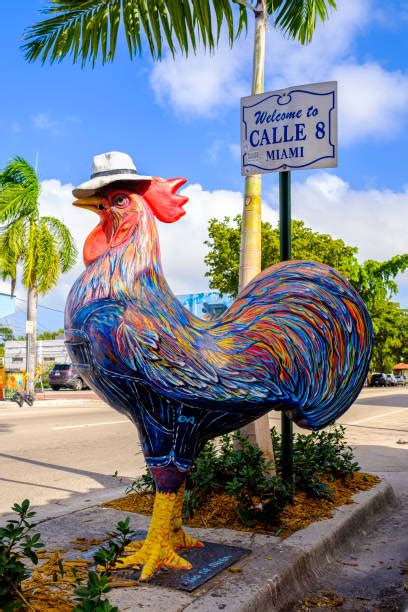 Tamiami Trail Scenic Highway - Banco de fotos e imágenes de stock - iStock