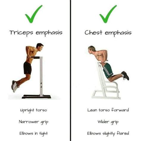 Dips Exercise Muscles Worked - AthleticFly