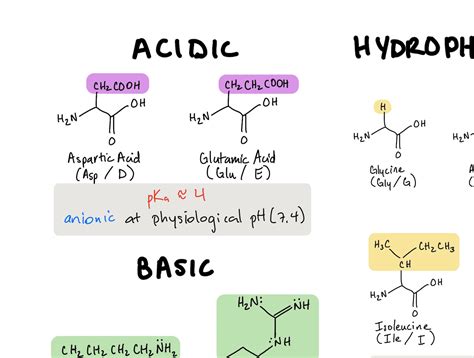 Mcat Amino Acids Cheat Sheet Etsy Uk