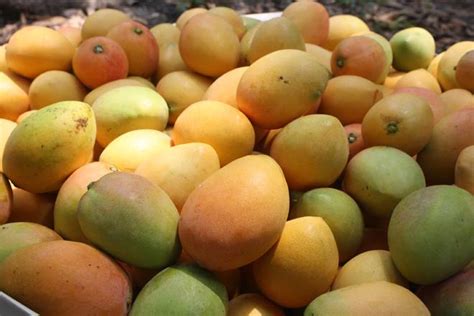 Baja Demanda En Frutas Para Preparar El Tradicional Alm Bar Las