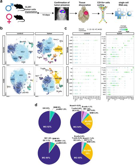 Single Cell Rna Sequencing Reveals Functional Heterogeneity And Sex Free Download Nude Photo