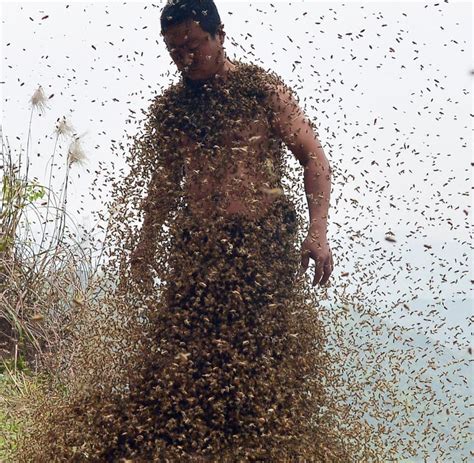 Banyan Incubus Westen Bienenschwarm Staubsauger Linie Gut Aussehend