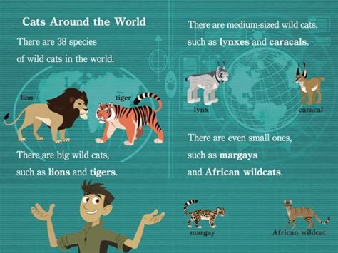 ‎Wild Cats! (Wild Kratts) on Apple Books