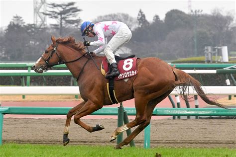 【天皇賞秋／新人記者突撃】伏兵マテンロウスカイ 松永幹夫調教師が「ひょっとしてという気持ちは」（東スポ競馬）｜dメニューニュース（nttドコモ）