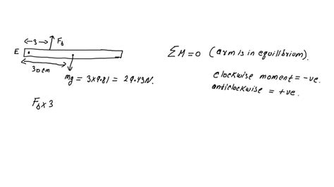 SOLVED Torque And Equilibrium Prelab Let S Look At The Extended Free