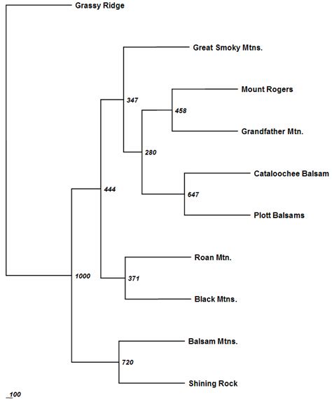 Neighbor Joining Dendrograms Depicting A Unbiased D S Genetic