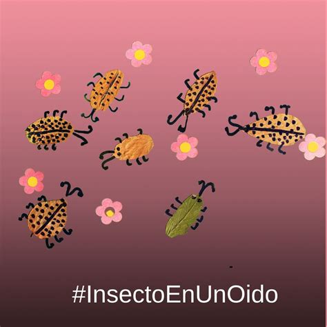 Insectos Dentro De Los O Dos No Tan Raro Te Explicamos Los S Ntomas Y