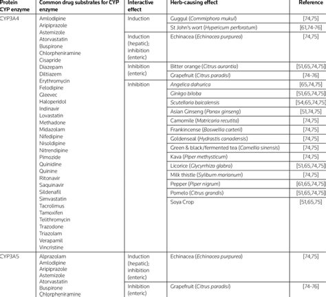 Potential Herb Drug Interactions With Drugs Metabolized By Cyp3 Enzymes