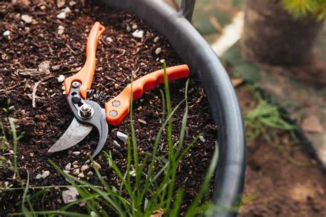 7 Best Pruning Shears Of 2024