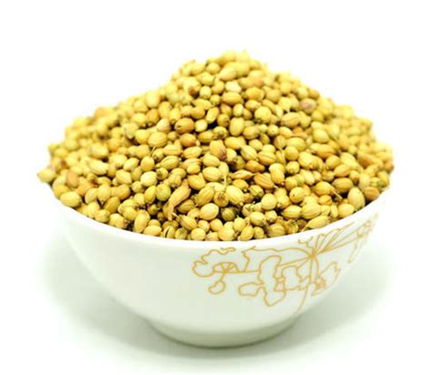 Coriander Seeds At Best Price In Unjha By Hitendra D Shah ID 7368001291