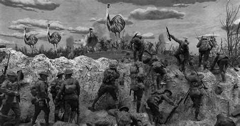 The Great Australian Emu War Of 1932 Was Against Flightless Birds