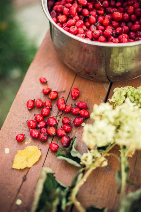 Baies De Goji Une Gourmandise Pleine De Bienfaits