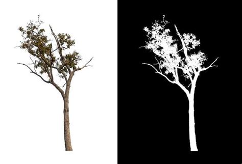 Tree Dxf Stock Photos, Images and Backgrounds for Free Download