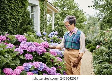 British Mature Woman Over 1 703 Royalty Free Licensable Stock Photos