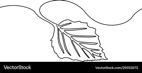 Continuous One Line Drawing Tree Leaf Nature Vector Image