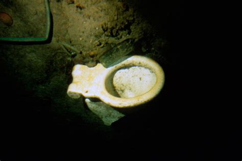 What Seems To Be A Commode Is Photographed In The Debris Field ©woods Hole Oceanographic