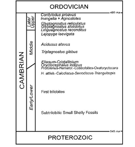 Generalized Stratigraphic Position Of The Reviewed Horizons Of Possible