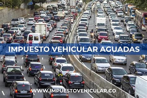 Impuesto Vehicular Aguadas Pago Por Placa