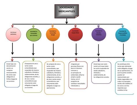 Elabora Un Cuadro Sin Ptico De La Clasificaci N De Las Sociedades