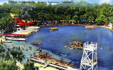 Old Florida: Vintage Silver Springs - Glass bottom boats