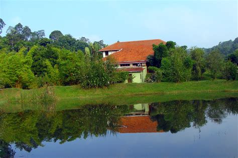 Holiday In The Forest Resort In Karnataka Free Image Download