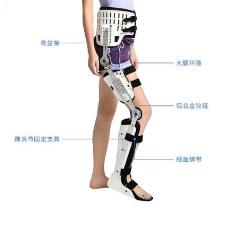 Buy Hip Knee Ankle Foot Orthosis Leg Fracture Lower Limb Paralysis