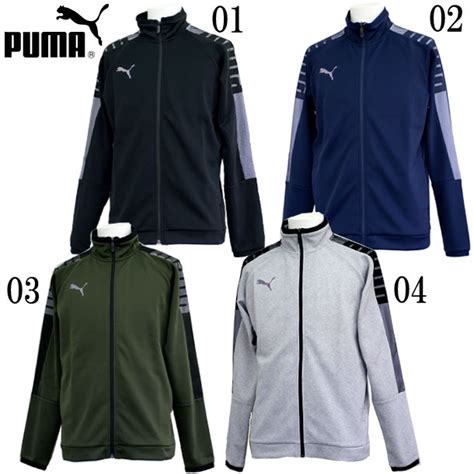 Puma Fw